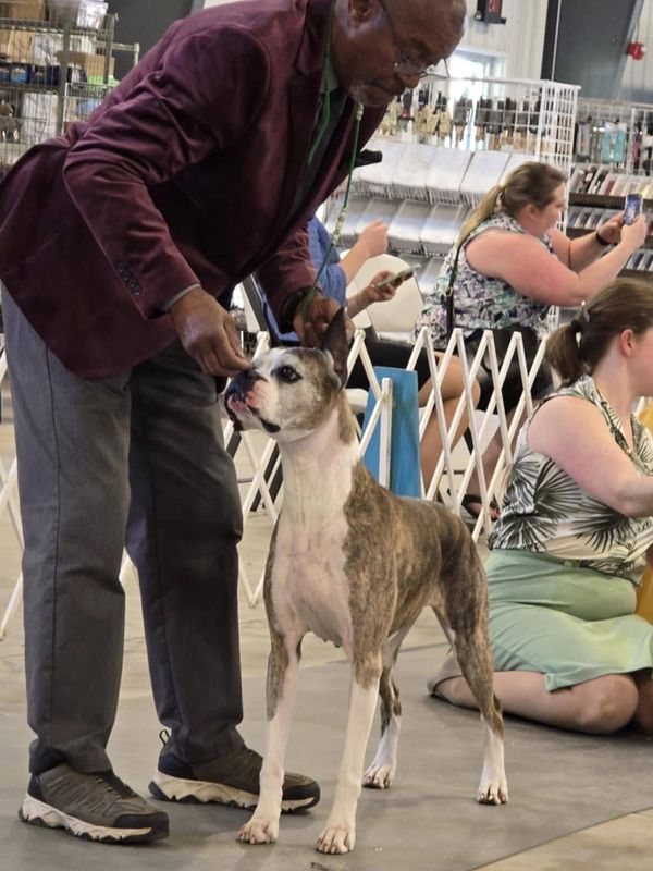Lizzy waiting in line at Best Veteran