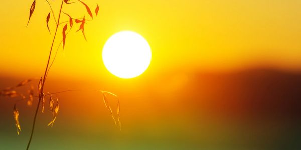 new beginnings sunrise