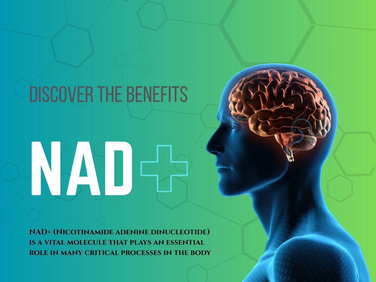 Illustration highlighting NAD+ and its vital role in body processes with brain imagery.