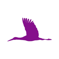 Purple Stork