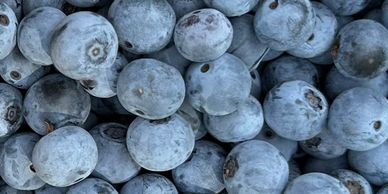 Blueberries