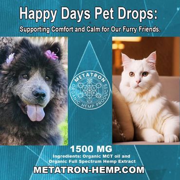 CBD pet tincture for calming, anxiety, and mobility. Great for cats and dogs.