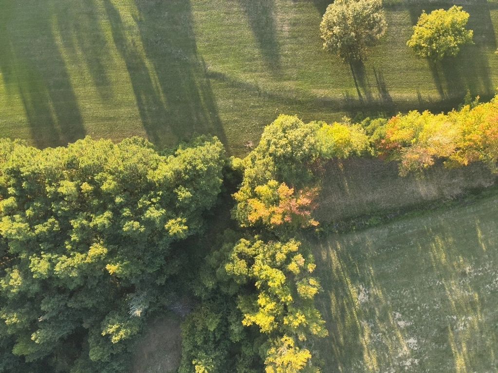 aerial shot of ridge