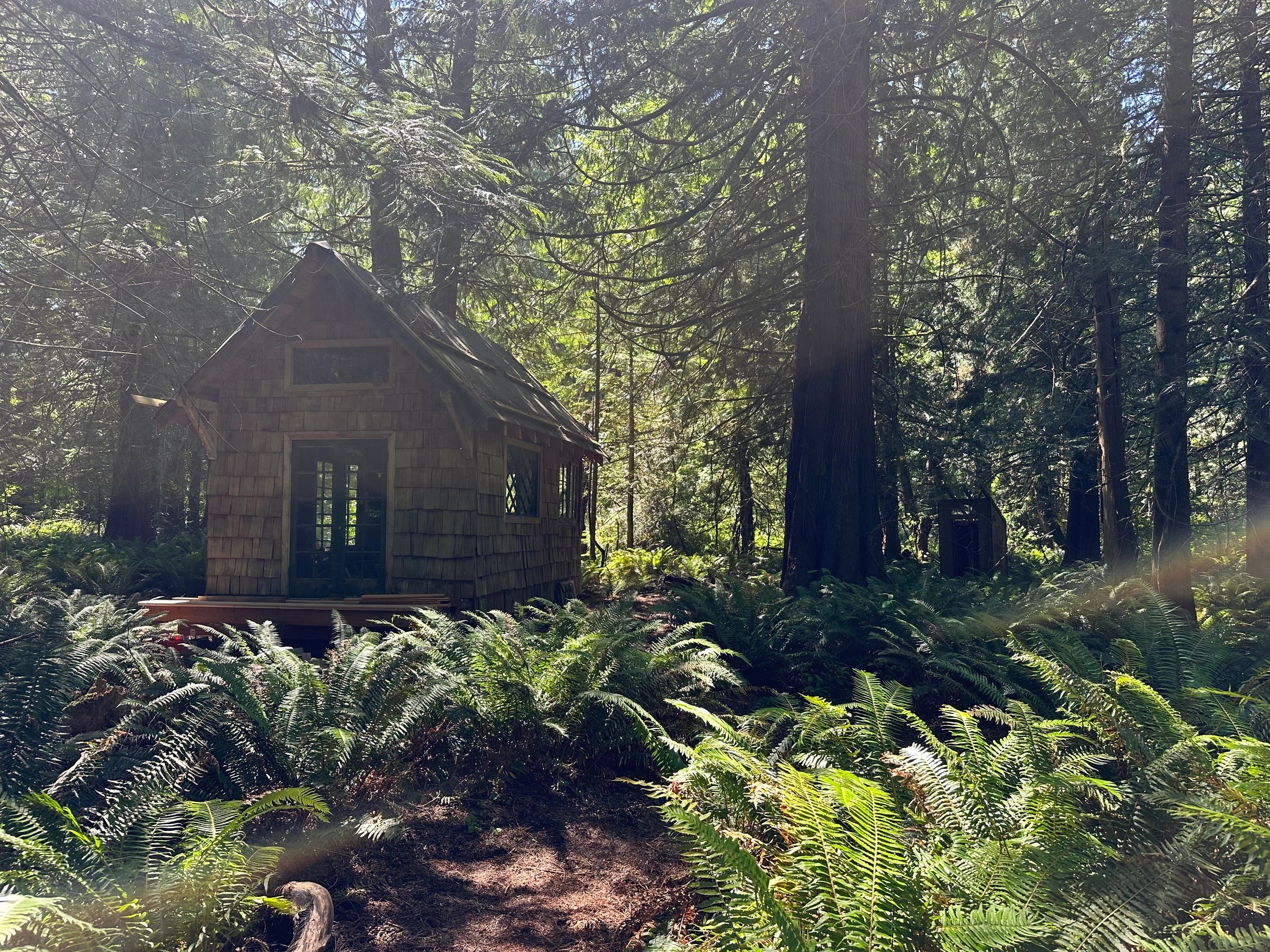 Small wooden cabin in dense forest.