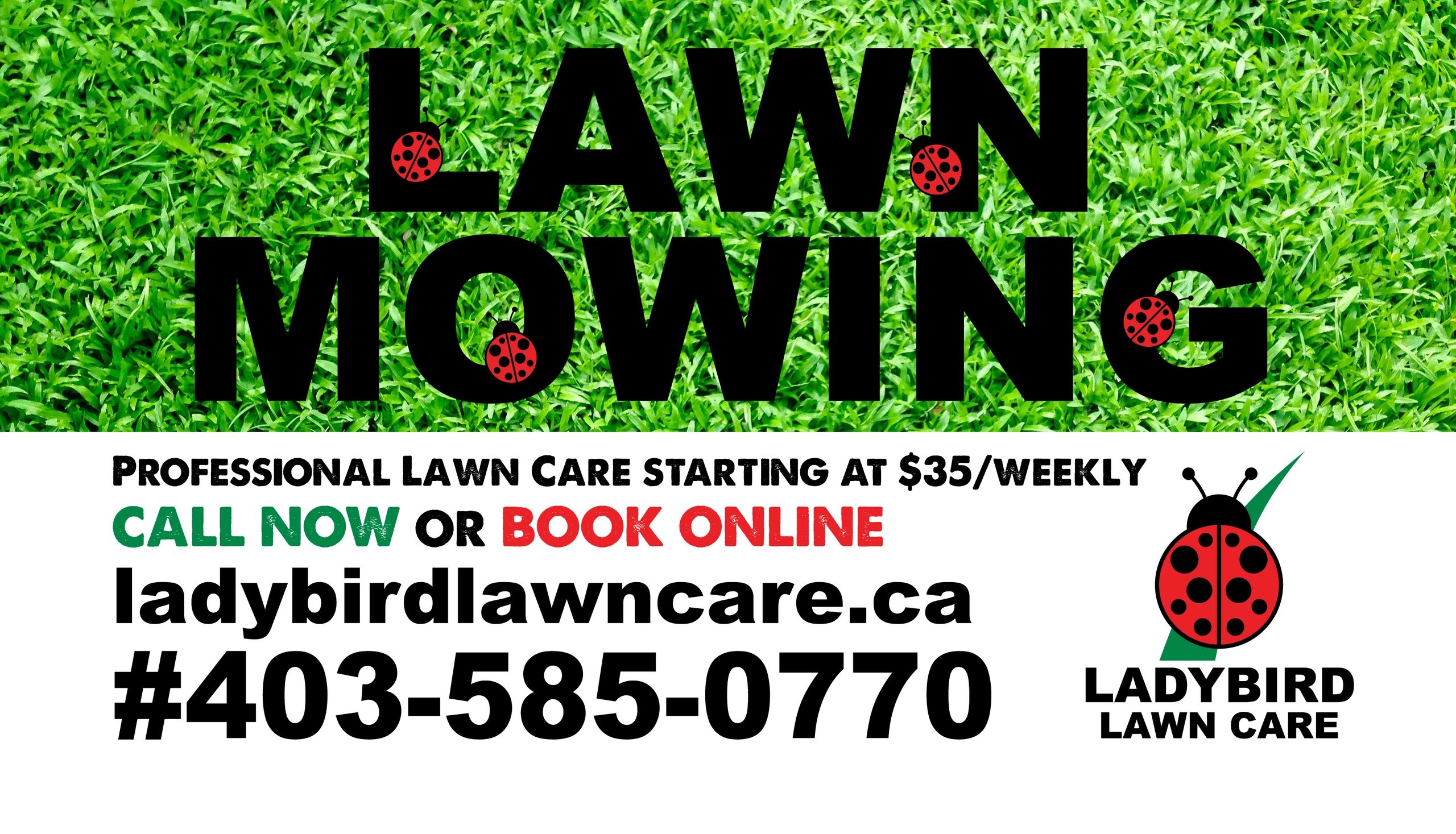 price-list-ladybird-lawn-care