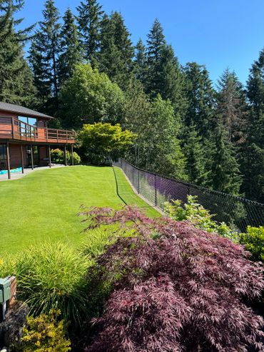 A large yard with a fence and trees