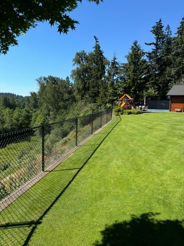A fenced in yard with grass and trees.