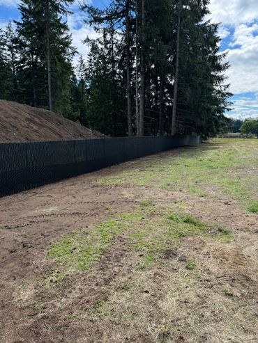 A dirt road with grass and trees in the background.