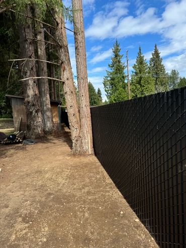 A fence that is being built around some trees.