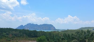 Mountain range with forest under a blue sky.