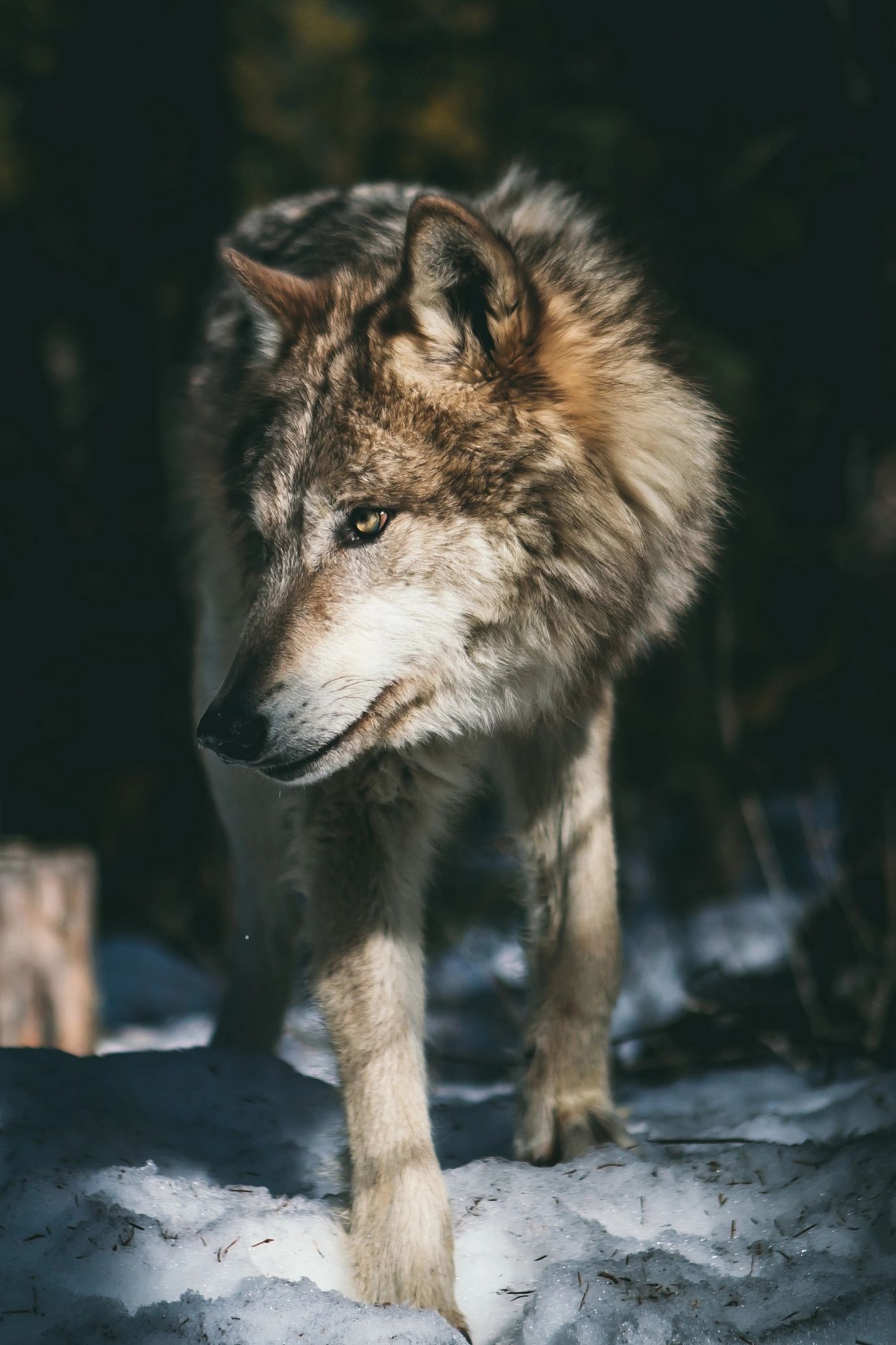 by Andrew-ly on Unsplash