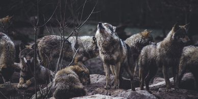 by Thomas Bonometti on Unsplash