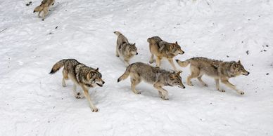 by Eva Blue on Unsplash