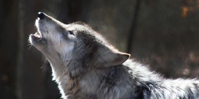 by Michael-Mazzone on Unsplash