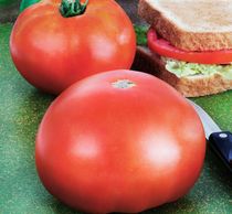 Park’s Whopper Tomato - Garden Hybrid