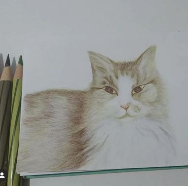 Kevin by @Adityarini_K