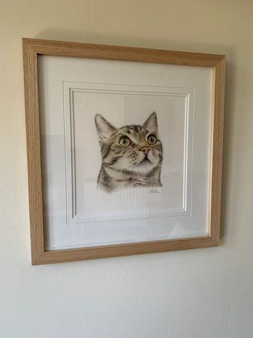 Scampi - Hand drawn by our friend Helen