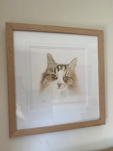 Kevin - Hand drawn by our friend Helen