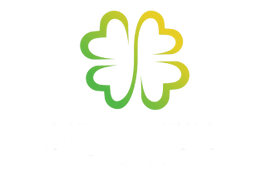Shamus Financial Services