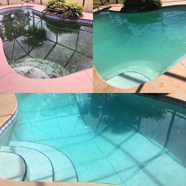 Green to clean pool service. 