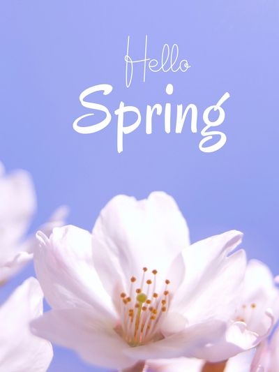 spring hours