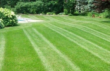 mowed lawn in Perry, Mi
