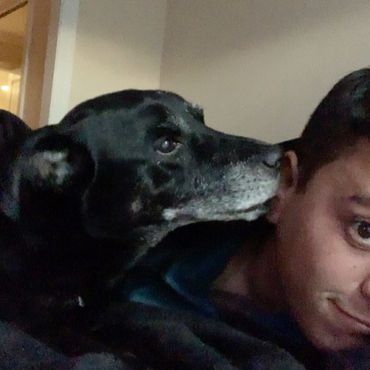 Black dog affectionately nuzzles a man's face indoors.