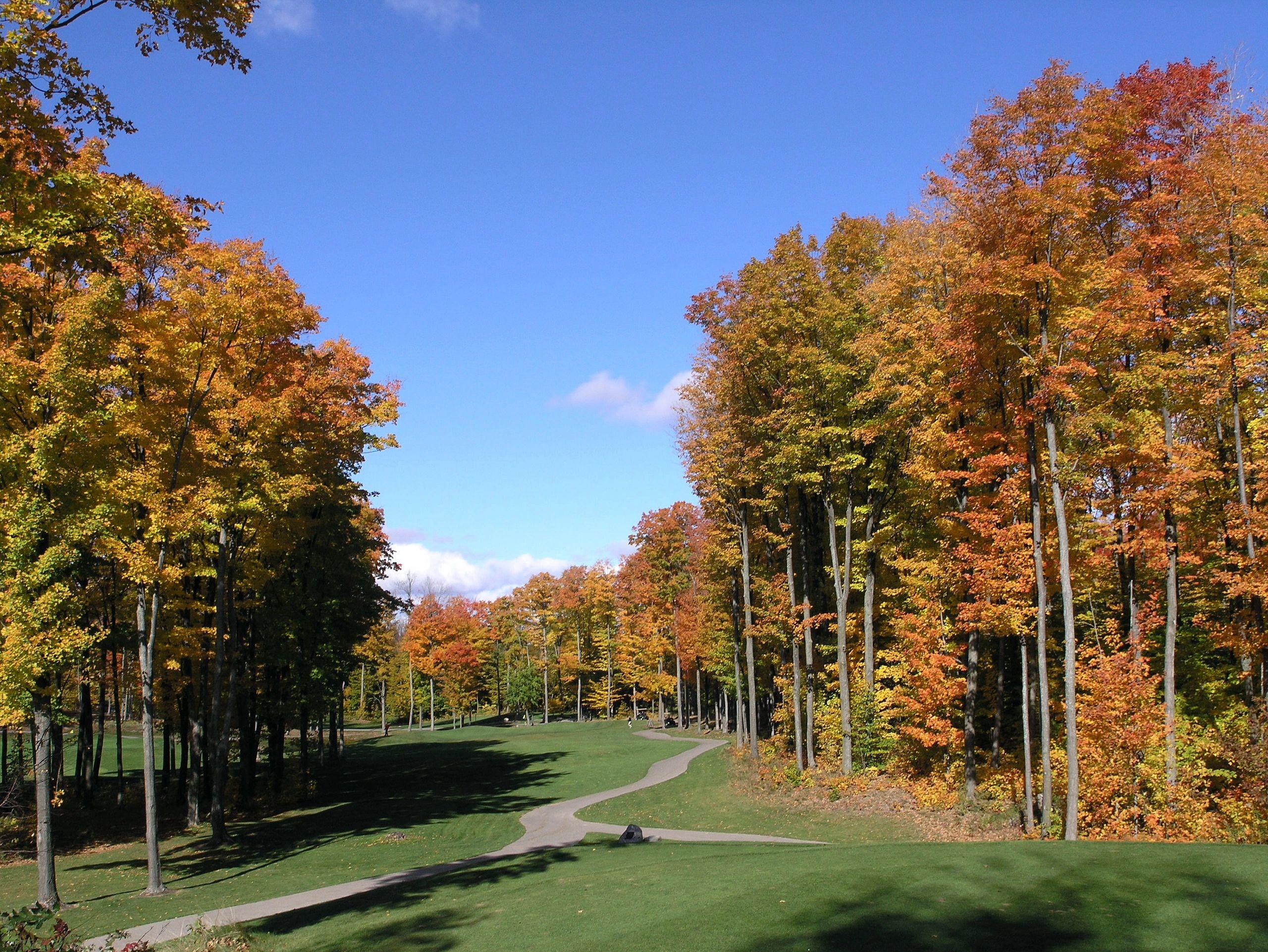 Chestnut Valley Golf and Restaurant