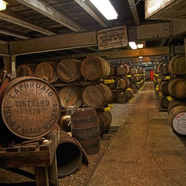 Whiskey barrels aging in a dimly lit cellar.