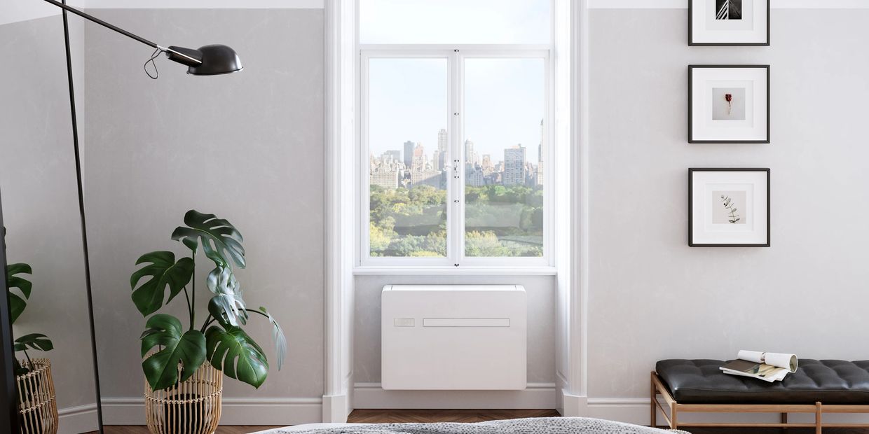 Minimalist room with a large window and plant.