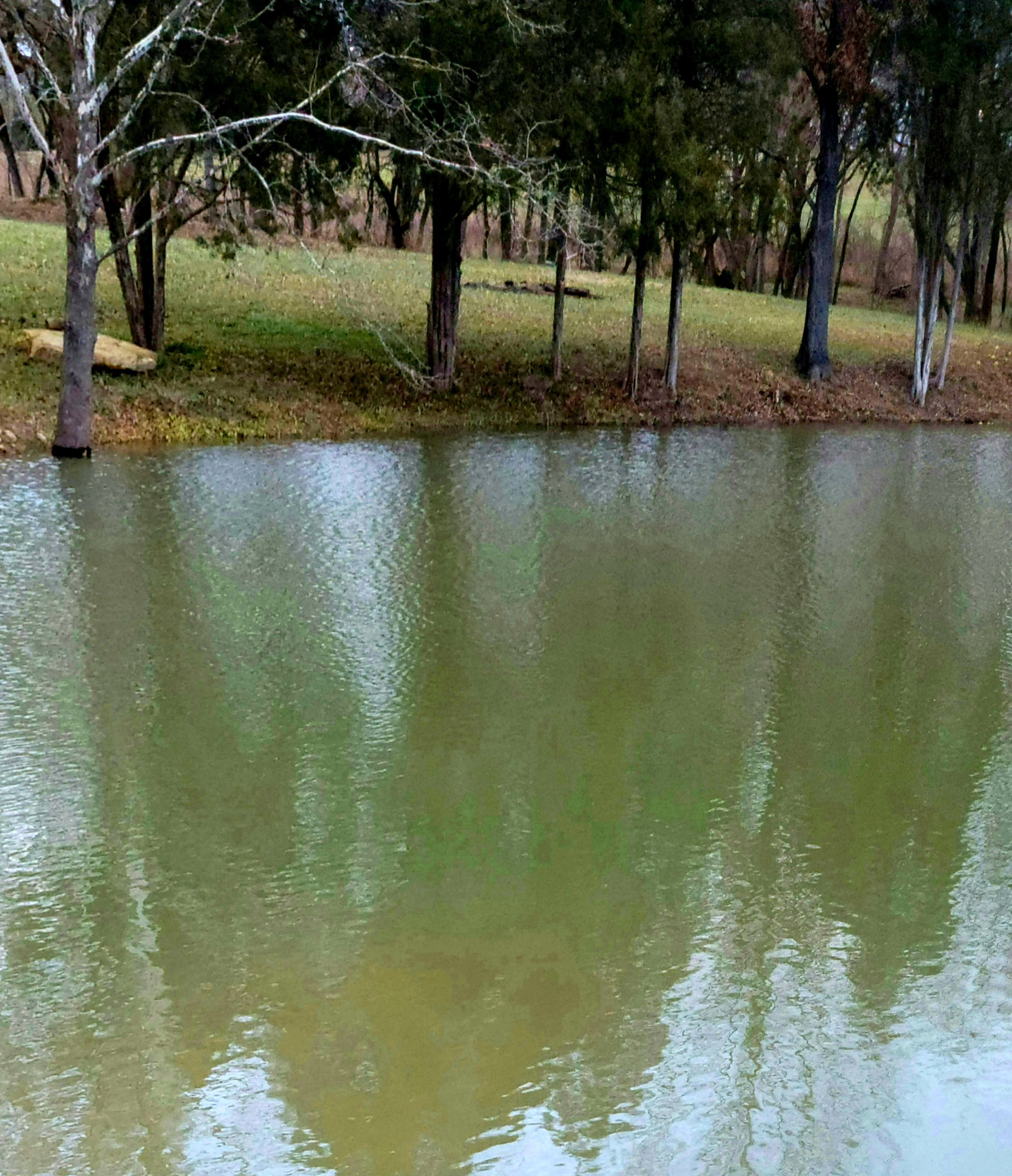 Now this lake water is up and clear.