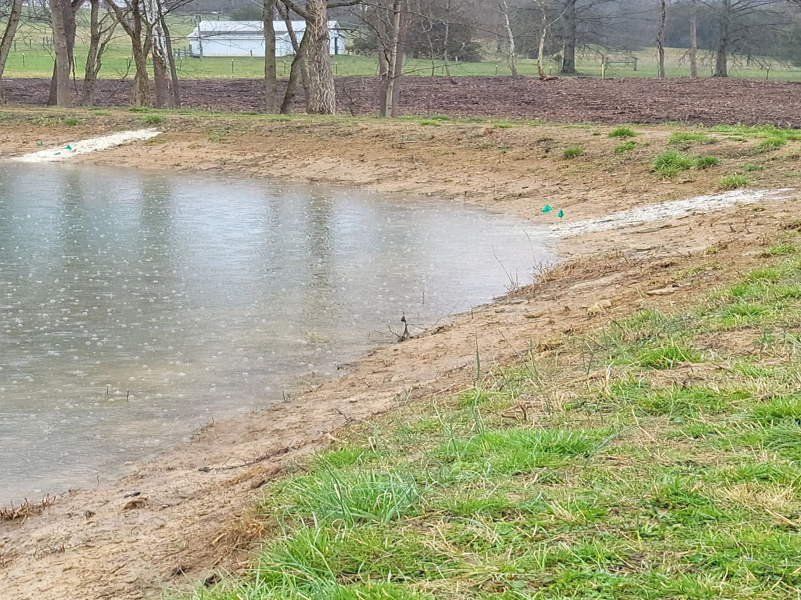Treatments of the chipped white sodium bentonite on the bank of a half full lake.