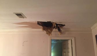 Water leak damage