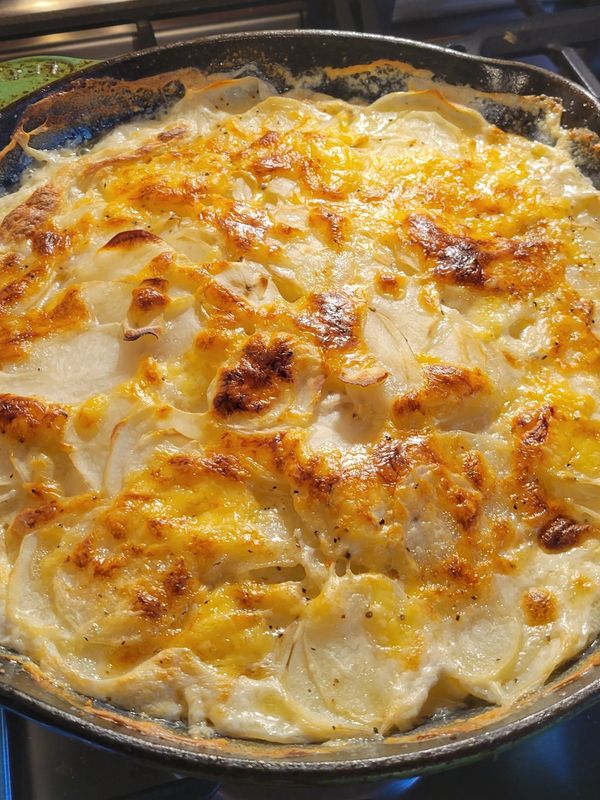 Potato Gratin