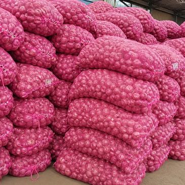 Stacks of pink mesh bags filled with onions in a warehouse.