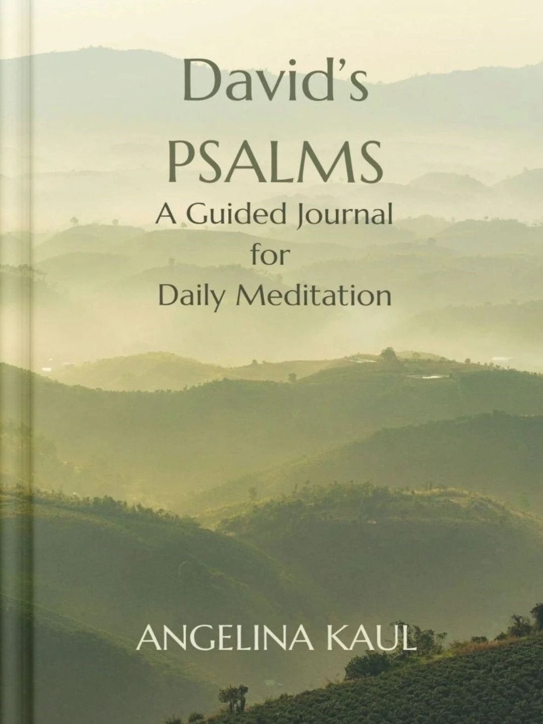 David's PSALMS Book Cover