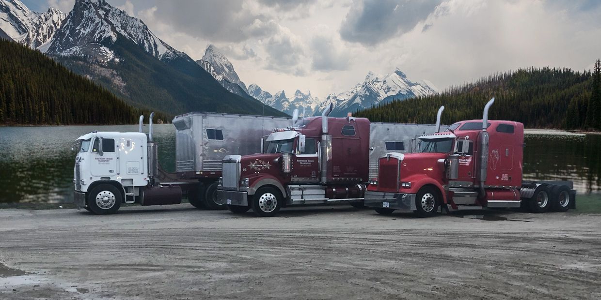 Three trucks parked by a lake with snowy mountains in the background.
