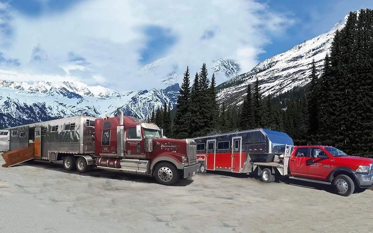 Horse transport in British Columbia