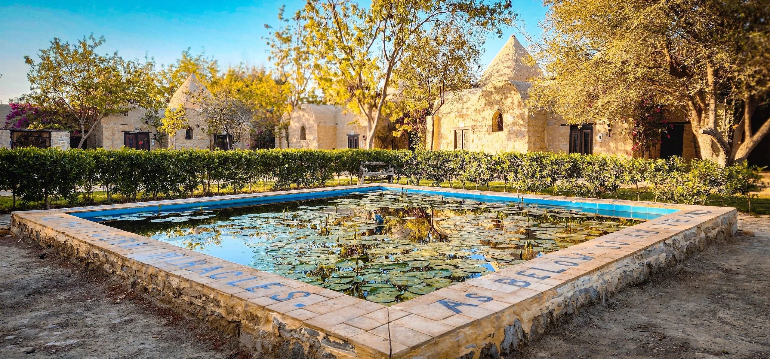 A serene lily pond in front of stone buildings and lush greenery under a clear blue sky.
