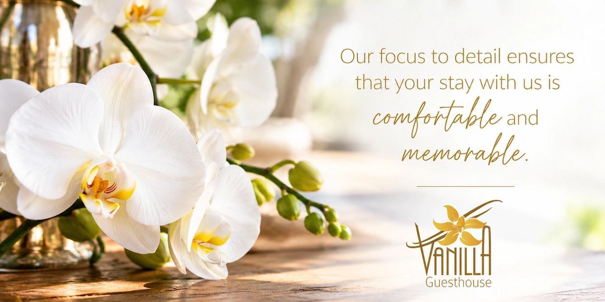 White orchids with a Vanilla Guesthouse message on comfort and memorable stays.