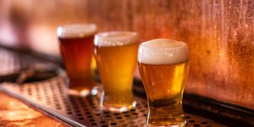 A photo of three different craft beers from the Toppled Turtle