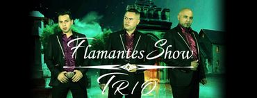 “Serenatas de cuerda que enamoran 🎻🌹”
Sorprende con elegancia y estilo.