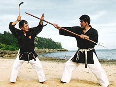 instructor training to fight against a staff with sickles