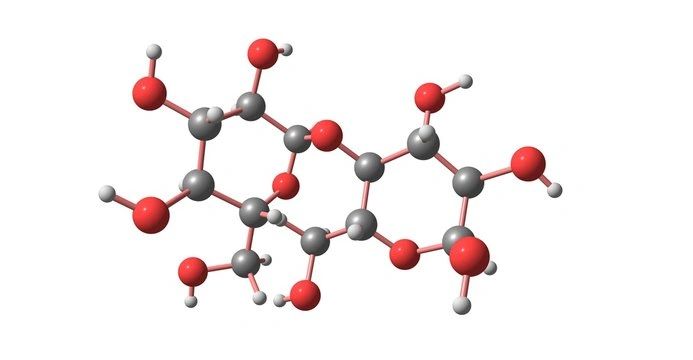 Carbohydrate molecule Carbohydrate molecule