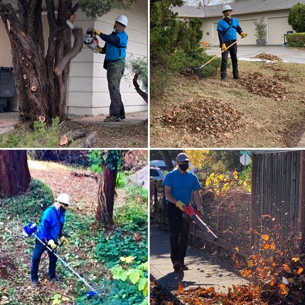 Different tasks incorporated in defensible space.