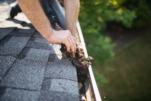 Clearing Debris for better waterflow