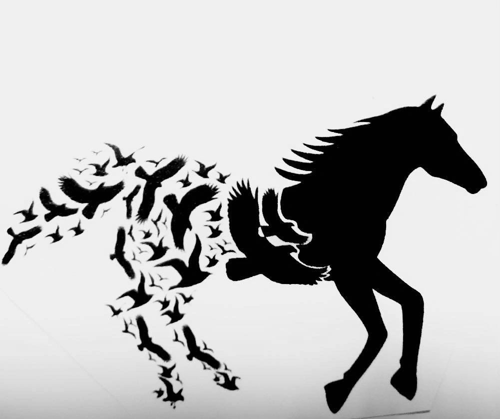 Freedom Horsemanship
A way for you and your horse to gain freedom and trust in your relationship.