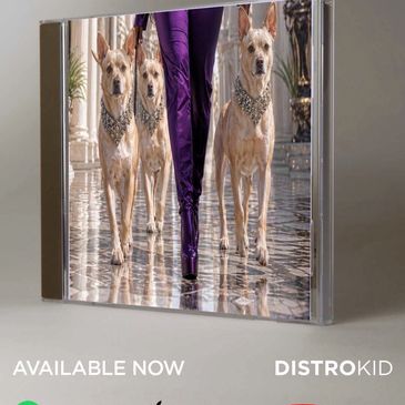 Woman in purple pants walking with three dogs.