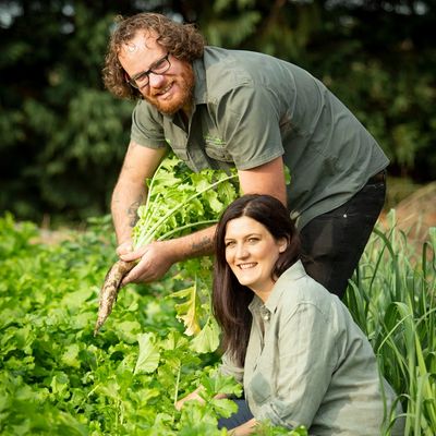 Neil Miles and Suz Miles of Planted Passion, farming daikon radish in Manjimup Western Australia