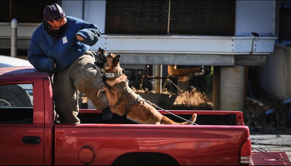 South Carolina Police K9 Association